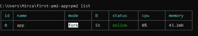 PM2 status 2