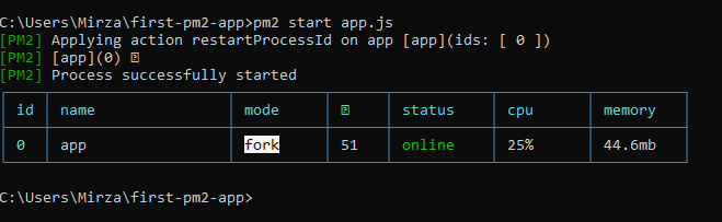 PM2 status